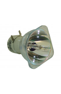 INFOCUS SP-LAMP-039 LAMPADA PHILIPS SENZA SUPPORTO (SOLO BULBO)